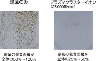 付着カビ菌の抑制効果