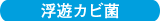 浮遊カビ菌