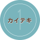 カイテキ