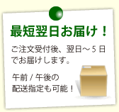 最短翌日お届け！