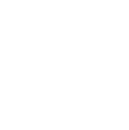 PLAY MOVIE