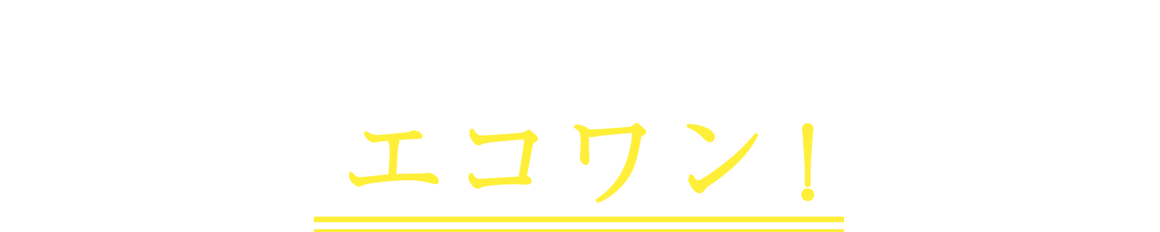 おすすめは、エネルギー効率もコスパも高いエコワン！