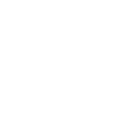 Cocotte Dutch oven
