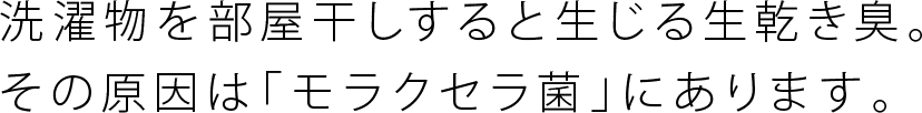 洗濯物を部屋干しすると生じる生乾き臭。その原因は「モラクセラ菌」にあります。