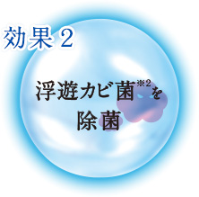 浮遊カビ菌(※2)を除菌
